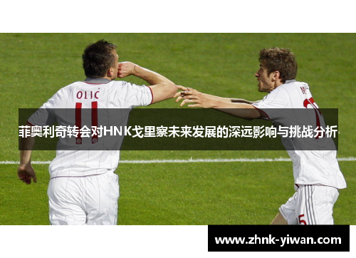 菲奥利奇转会对HNK戈里察未来发展的深远影响与挑战分析