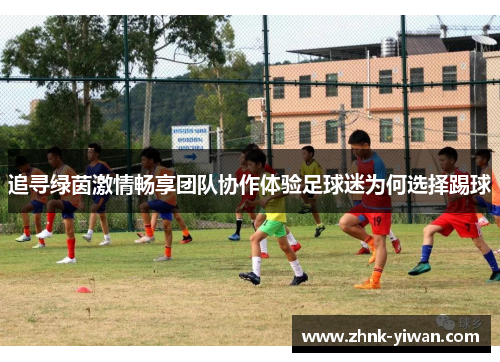 追寻绿茵激情畅享团队协作体验足球迷为何选择踢球